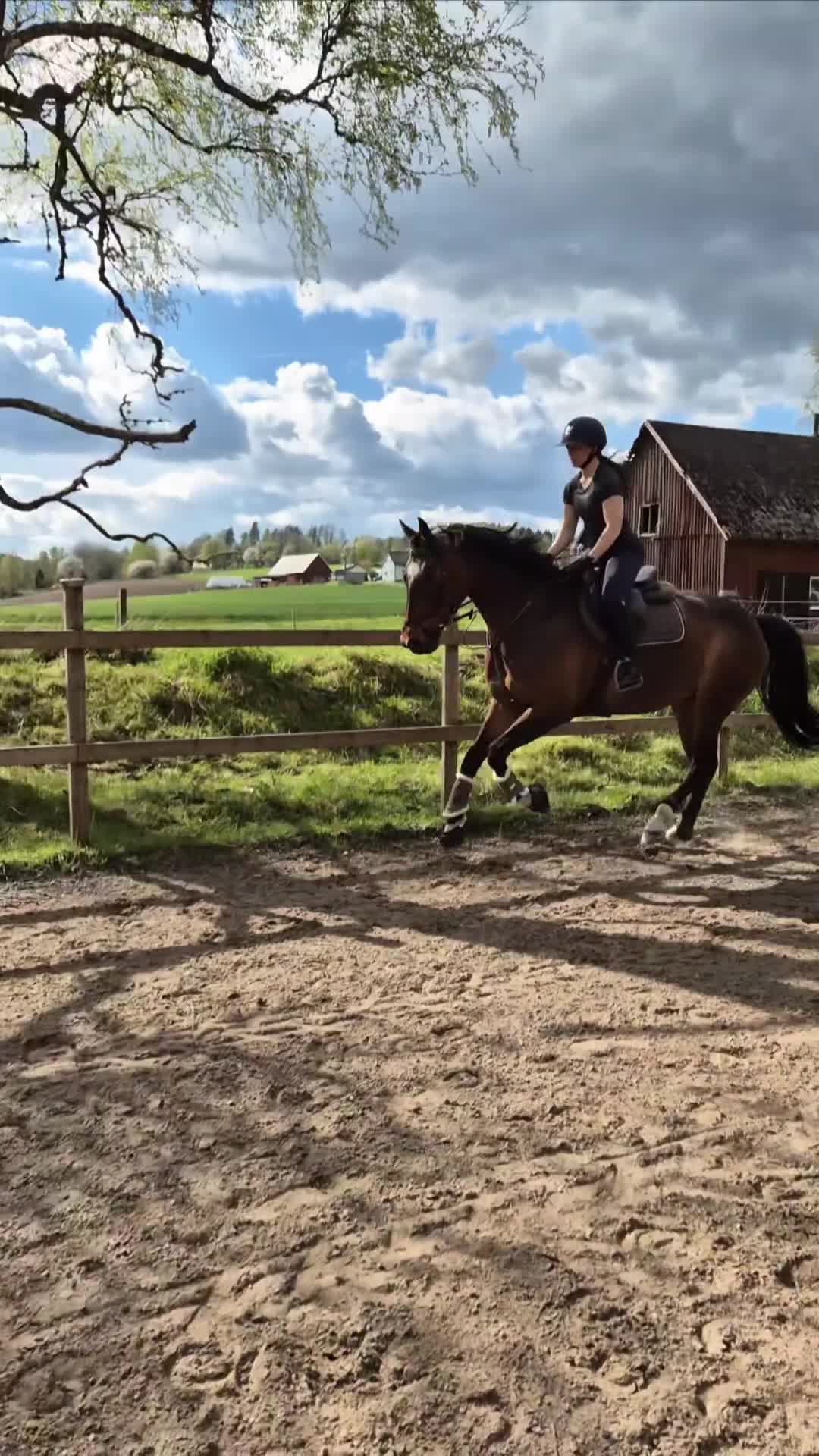  hästservice finnes: 🐴 Utbildning & förmedling på Stall Ljunganäs 🌿 - Video 1