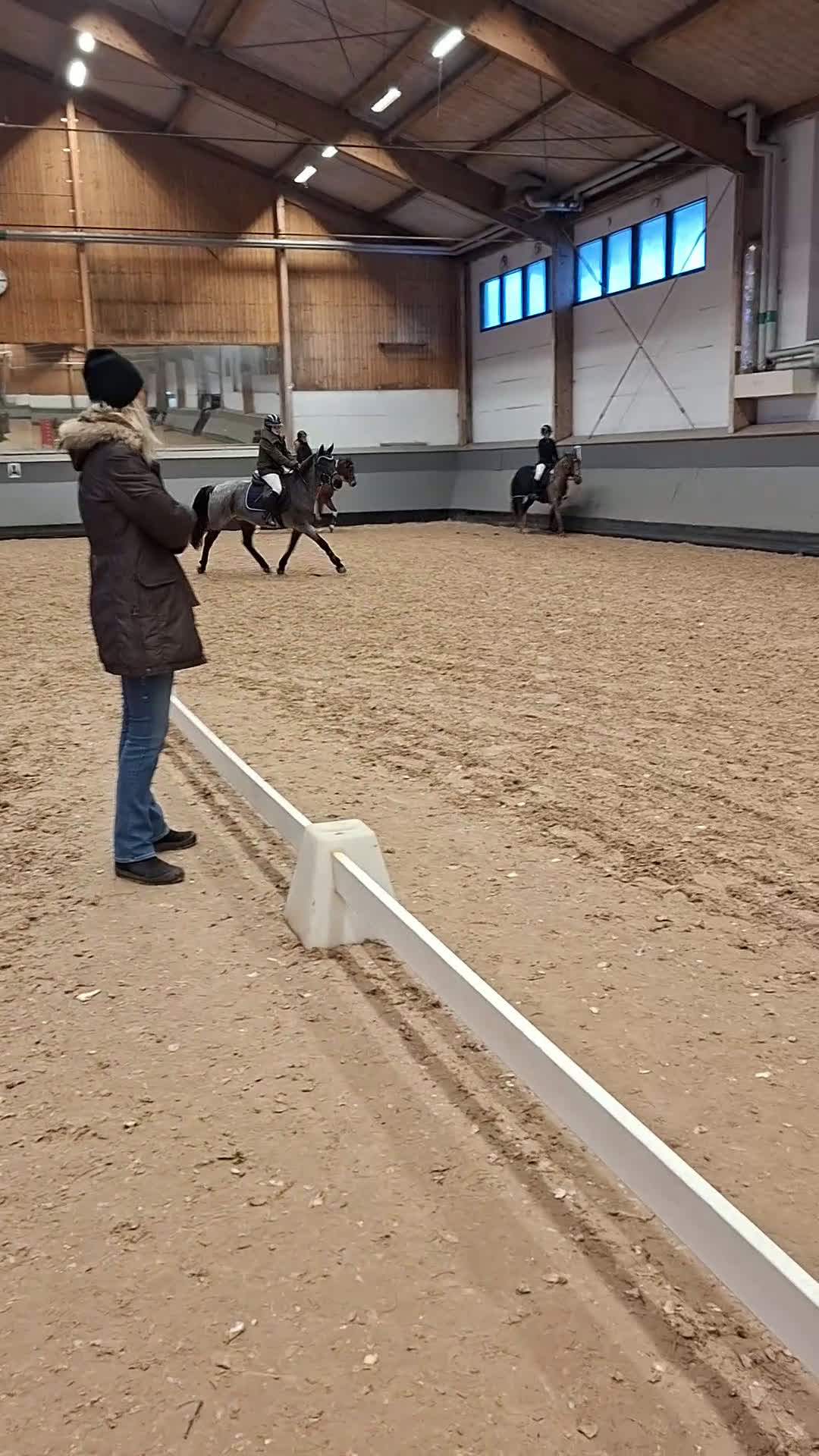 Allround hästar till salu: Super trevlig c ponny  i Klippan - Video 1