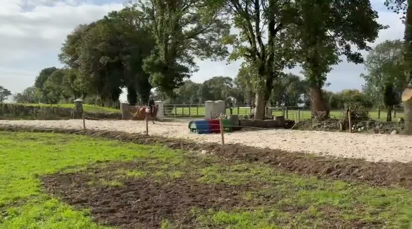 Allround hästar till salu: Alrounder Pony  - Video 1
