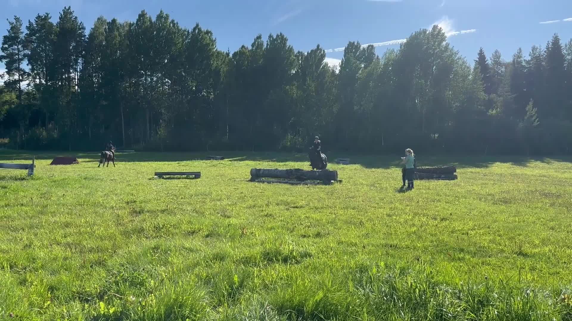 Hoppning hästar till salu: Välutbildad läromästare med hjärta av guld ❤️ - Video 2
