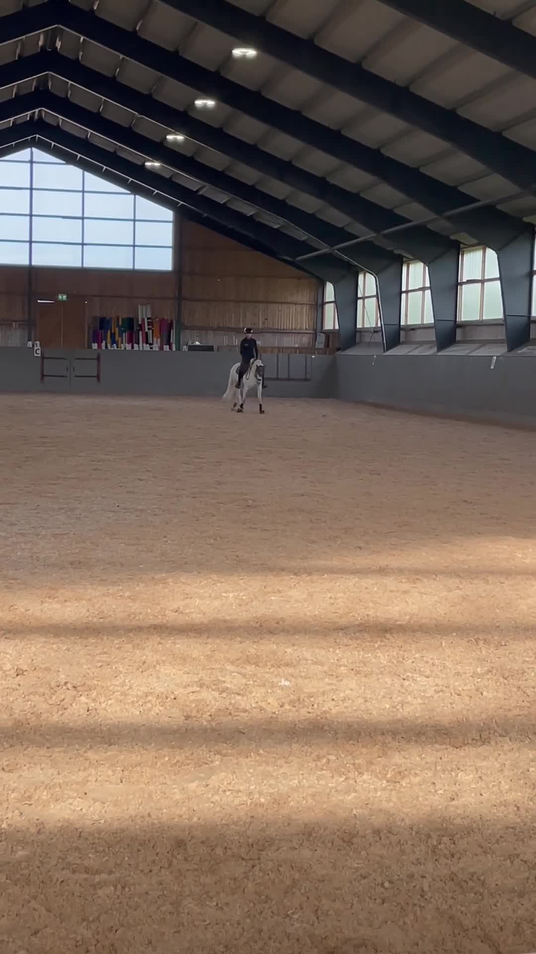 Allround hästar till salu: Kulltorps Ultra - Video 3