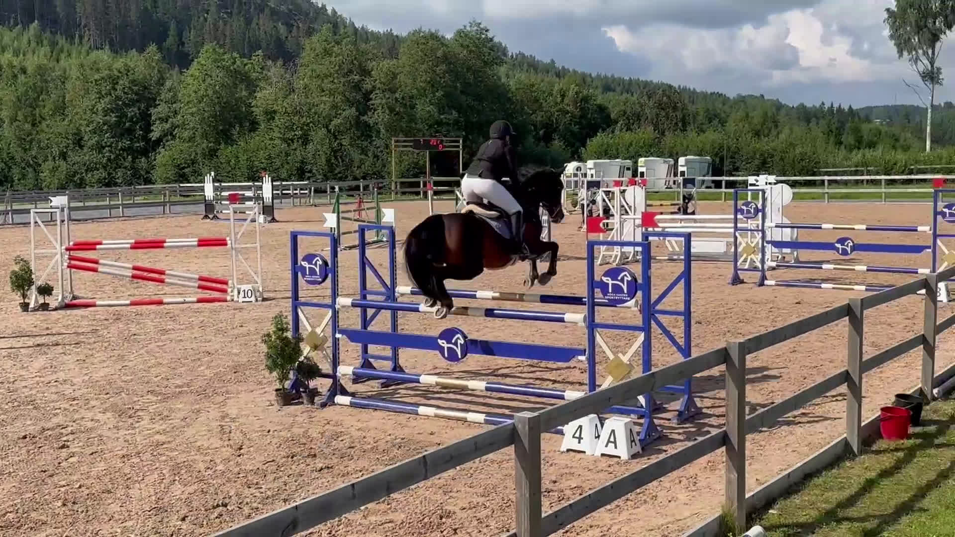 Hoppning hästar till salu: Vackert och tufft sto för hoppning  - Video 1