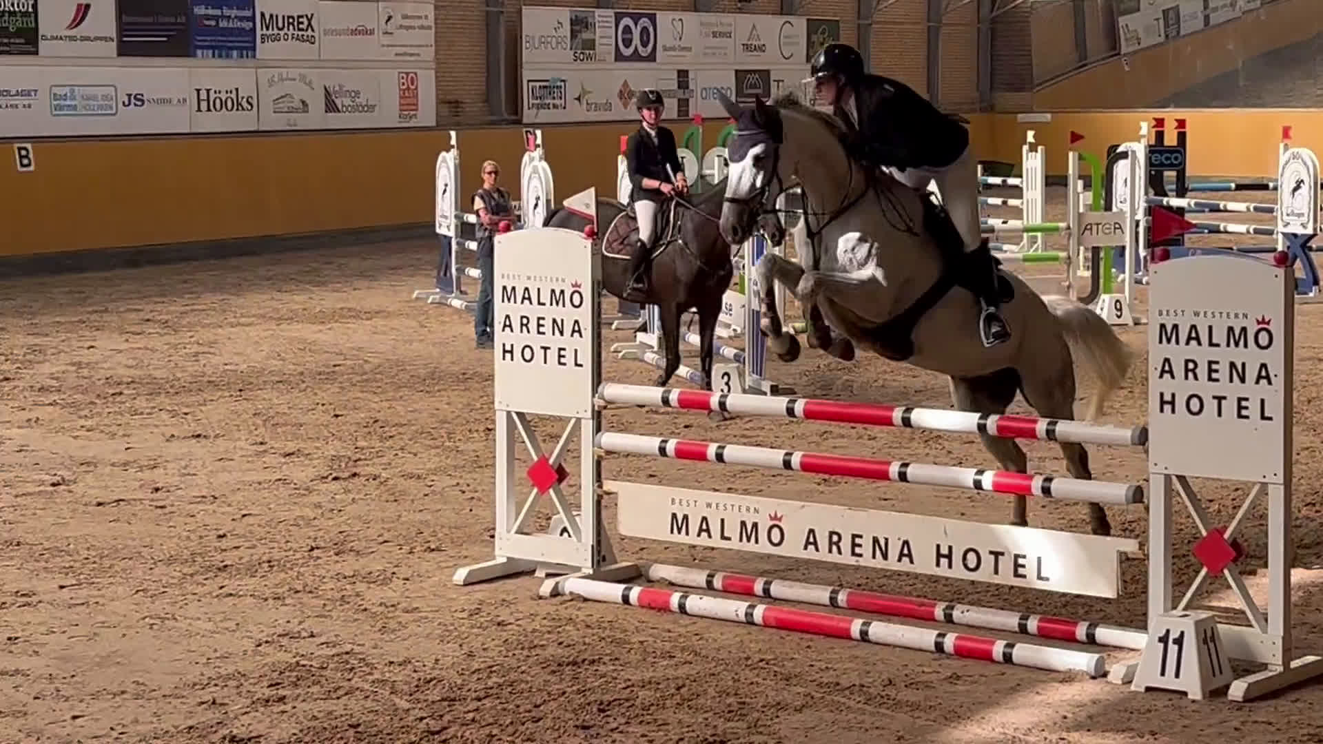 Hoppning hästar till salu: Didrique 6 år e. Casanova Hästak i Vellinge - Video 2