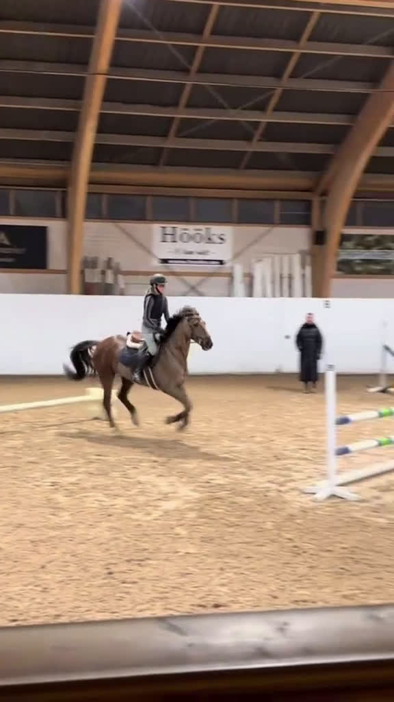  foderhäst sökes: Söker foderhäst eller medryttare i Ingarö - Video 1