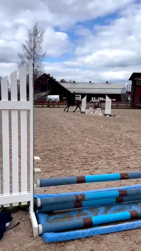 Allround hästar till salu: Snygg valack RESERVERAD  i Eksjö - Video 4