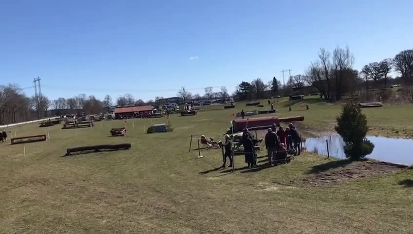 Allround hästar till salu: Fin sporthäst. i Lövestad - Video 1