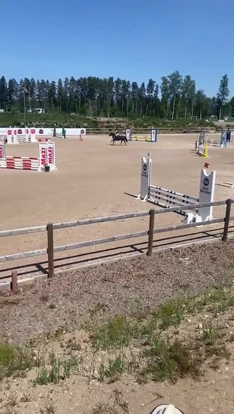 Hoppning hästar till salu: Fantastisk Läromästare  i Sävsjö - Video 1