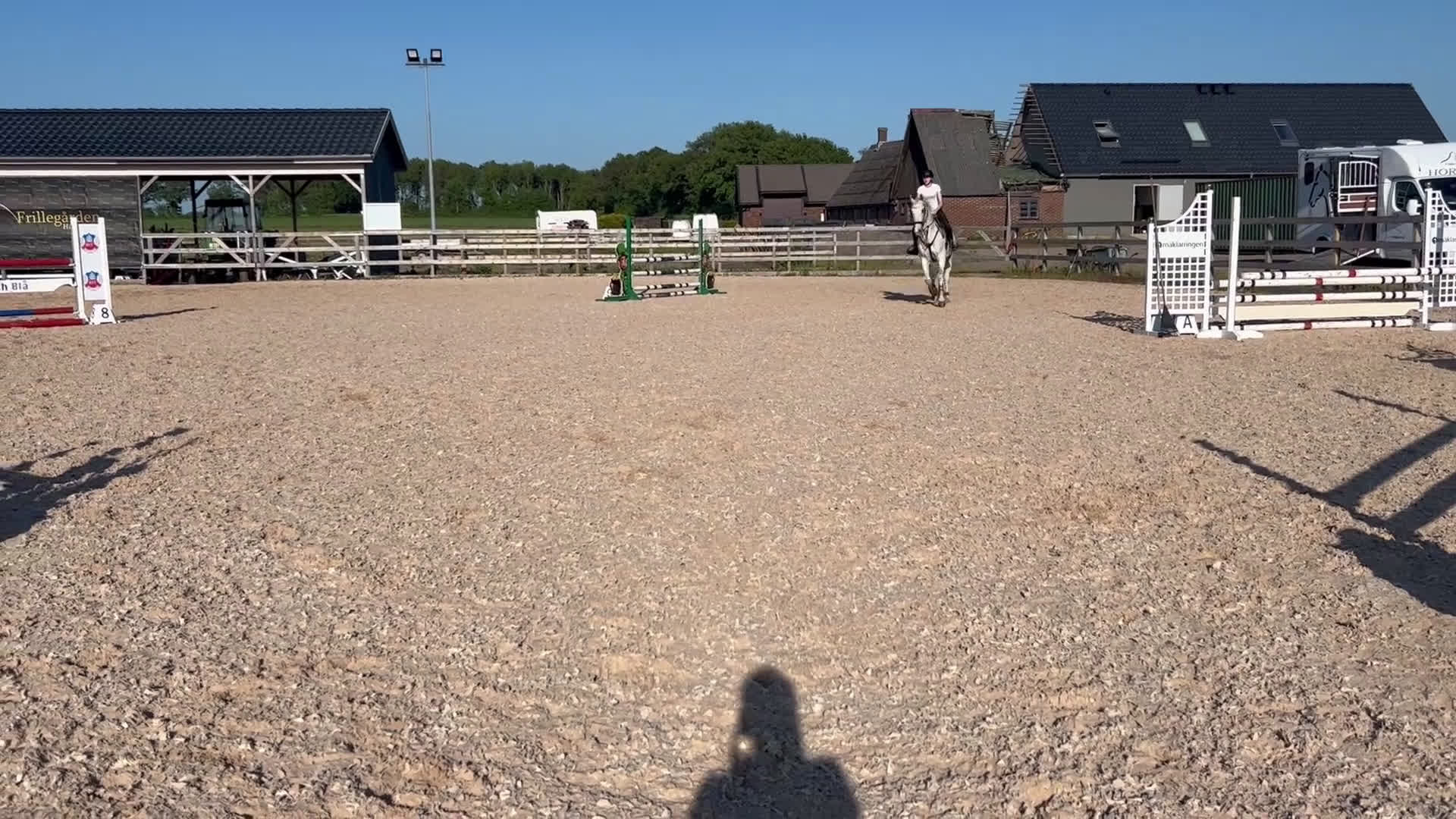  foderhäst finnes: Hoppglad bästavän i Helsingborg - Video 4