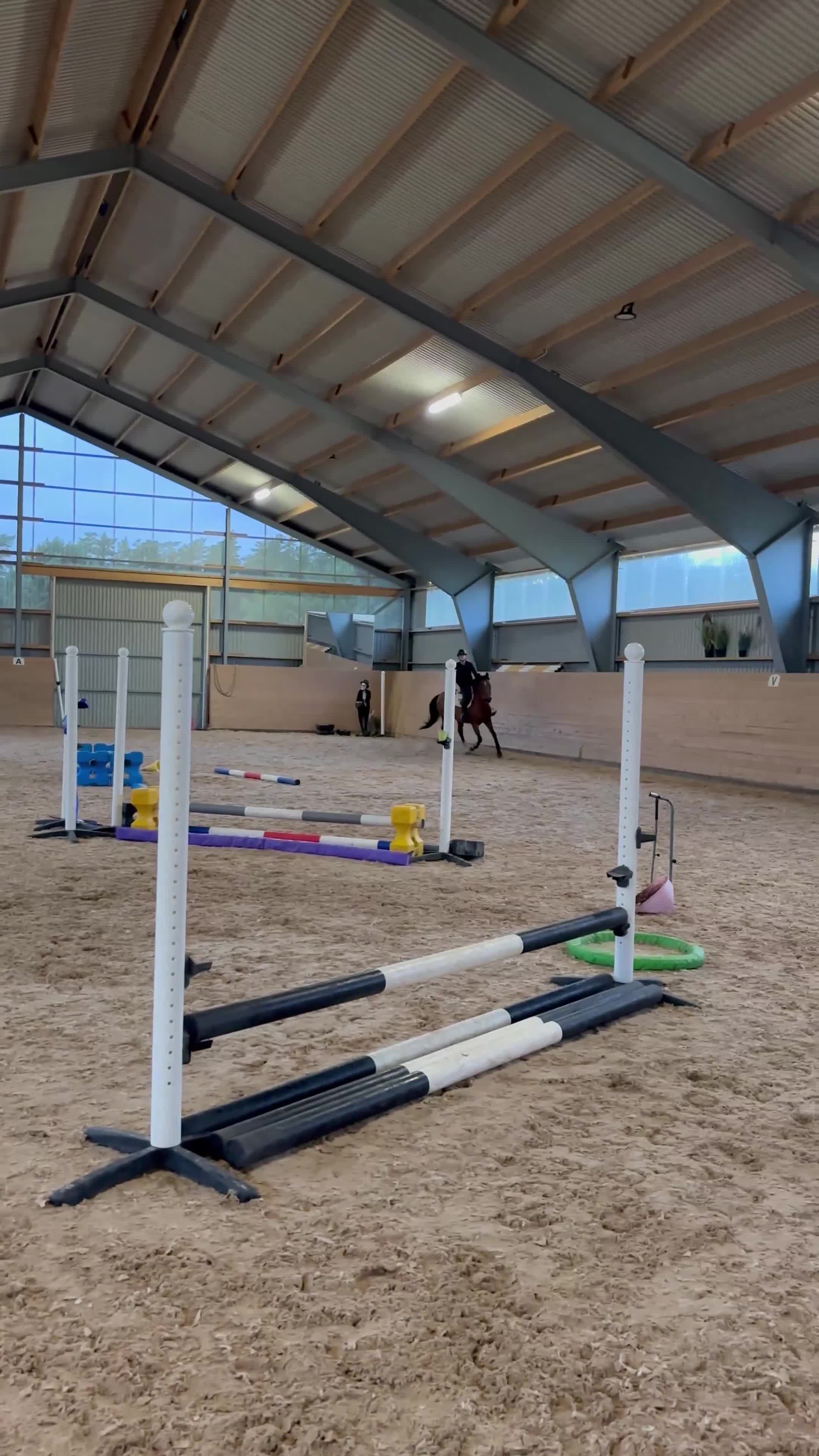 Allround hästar till salu: Ponny med stort hjärta❤️ - Video 2