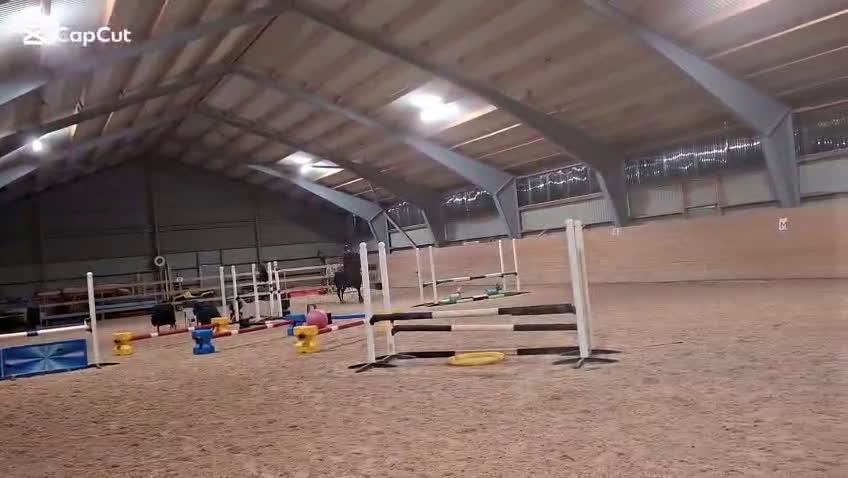 Allround hästar till salu: Vackert allroundsto i Örby - Video 1