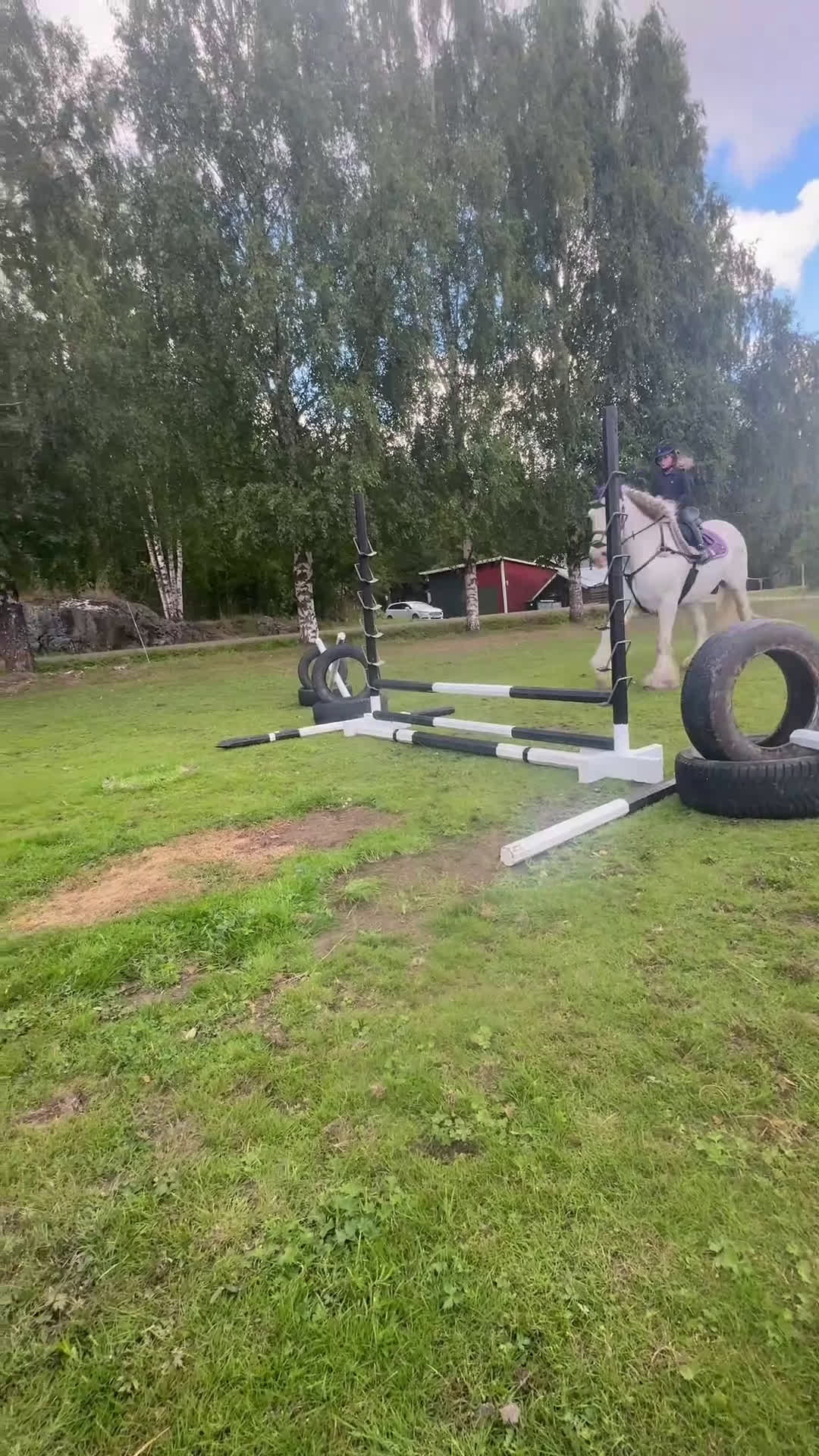 Allround hästar till salu: Vitt prins - Video 3