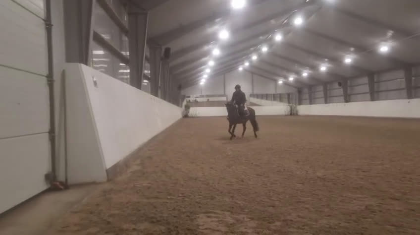 Dressyr hästar till salu: Ljuvligt sto  i Hjärnarp - Video 1