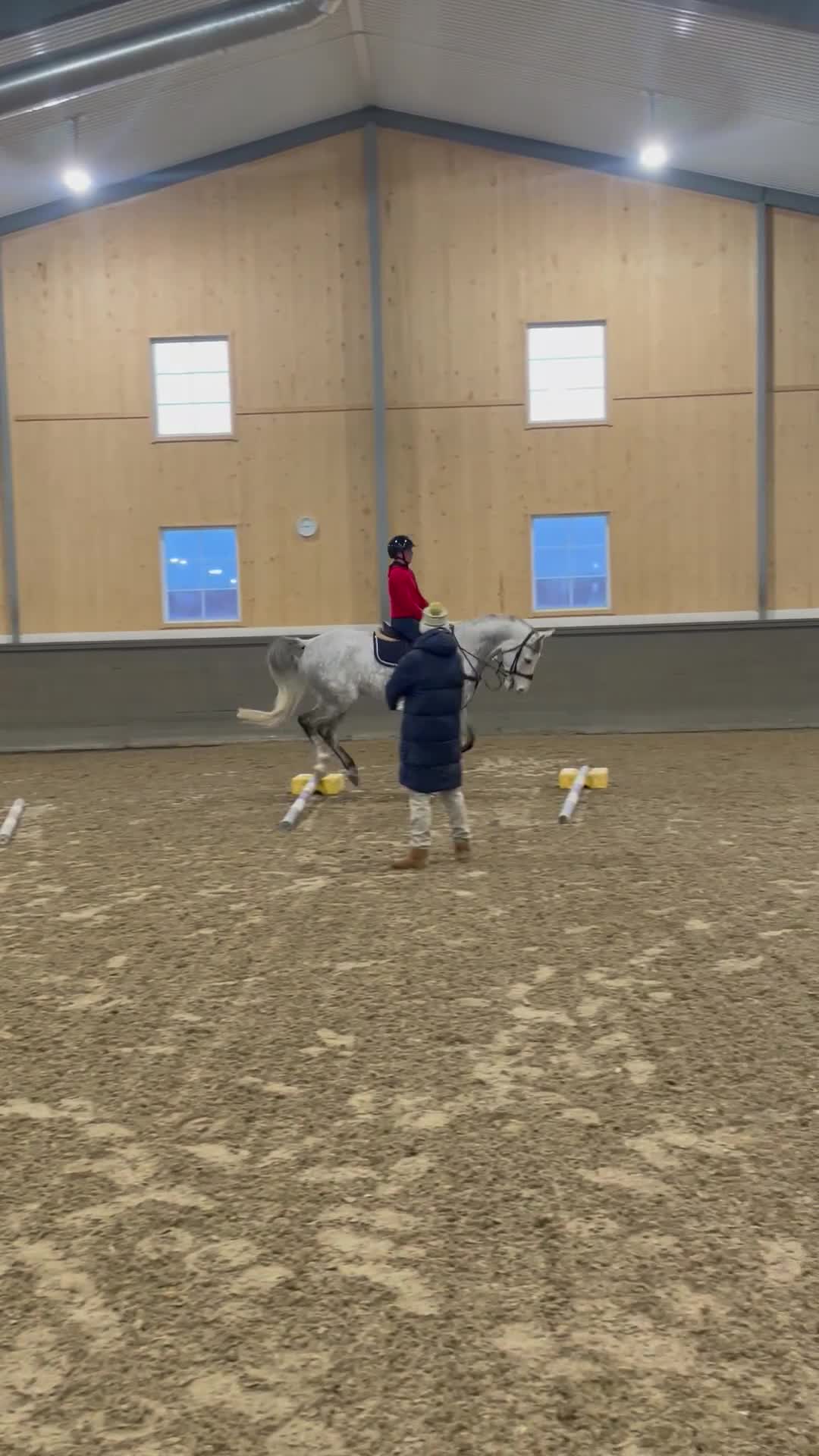 Allround hästar till salu: Allround valack - Video 4
