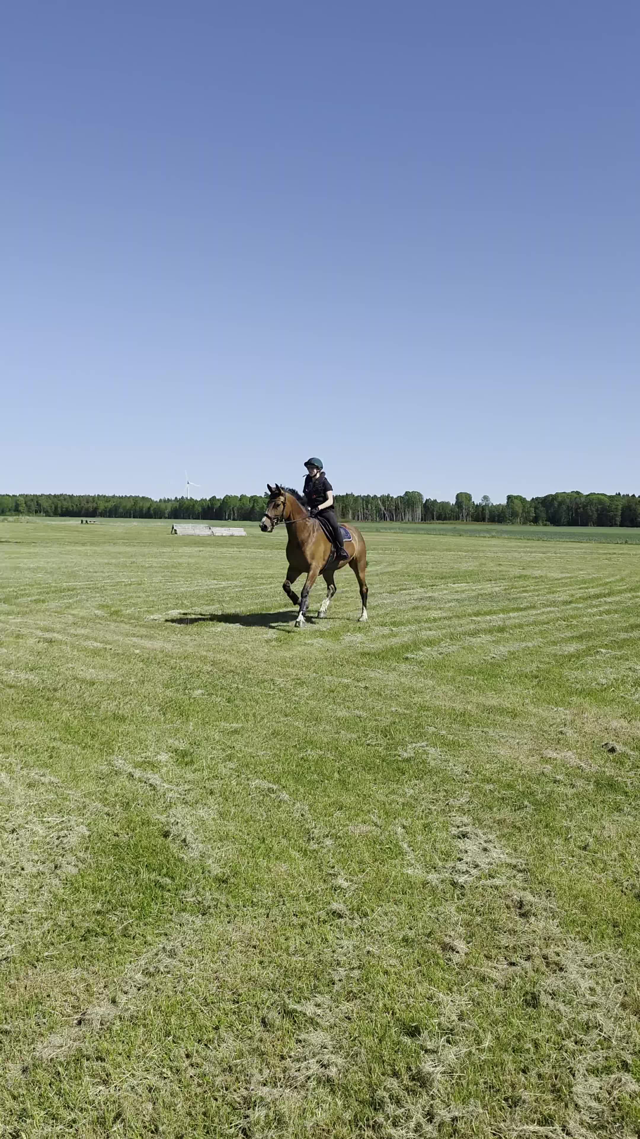 Fälttävlan hästar till salu: Hbl till fälttävlan, hopp, allround - Video 1