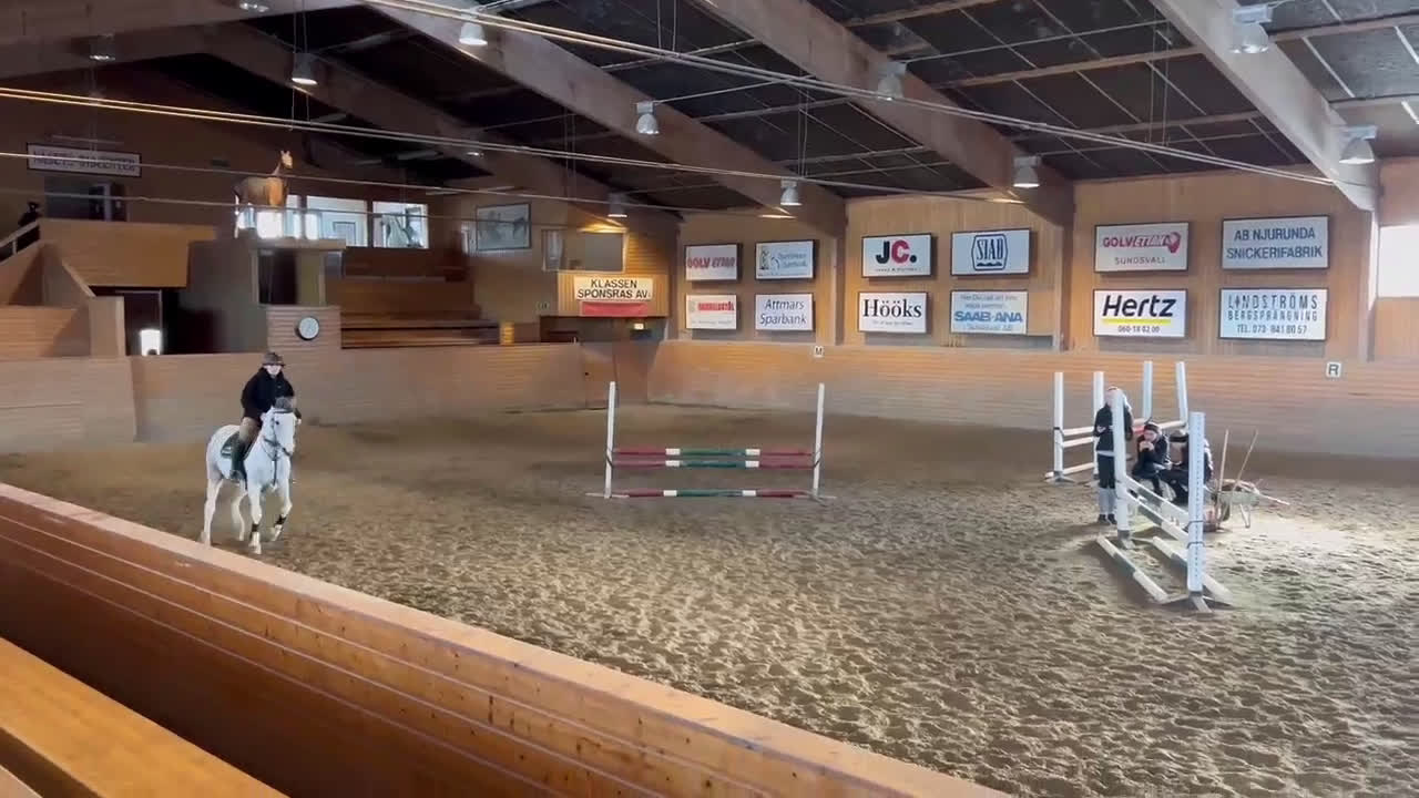 Allround hästar till salu: Pigg och fin D-ponny i Matfors - Video 1