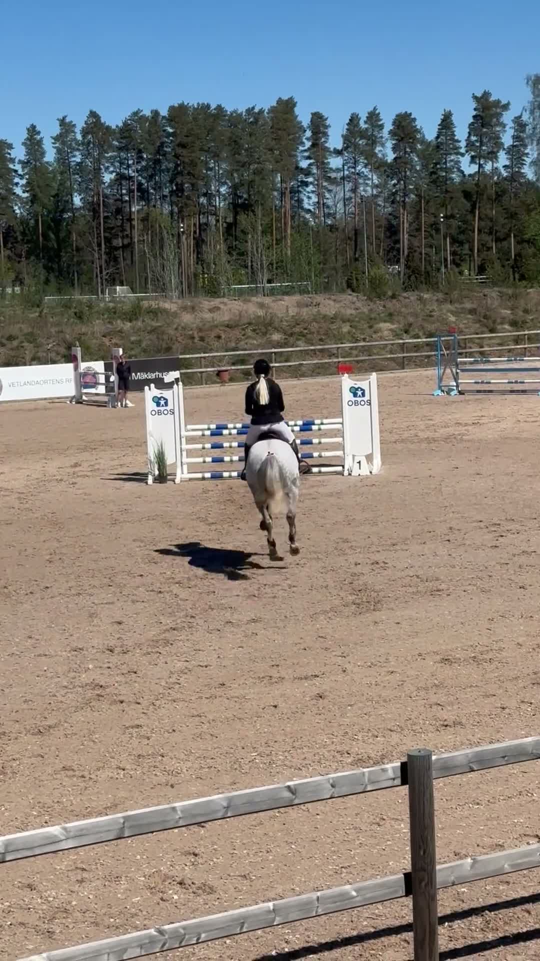 Hoppning hästar till salu: Tävlingskompis och bästa vän❤️ i Karlshamn - Video 1