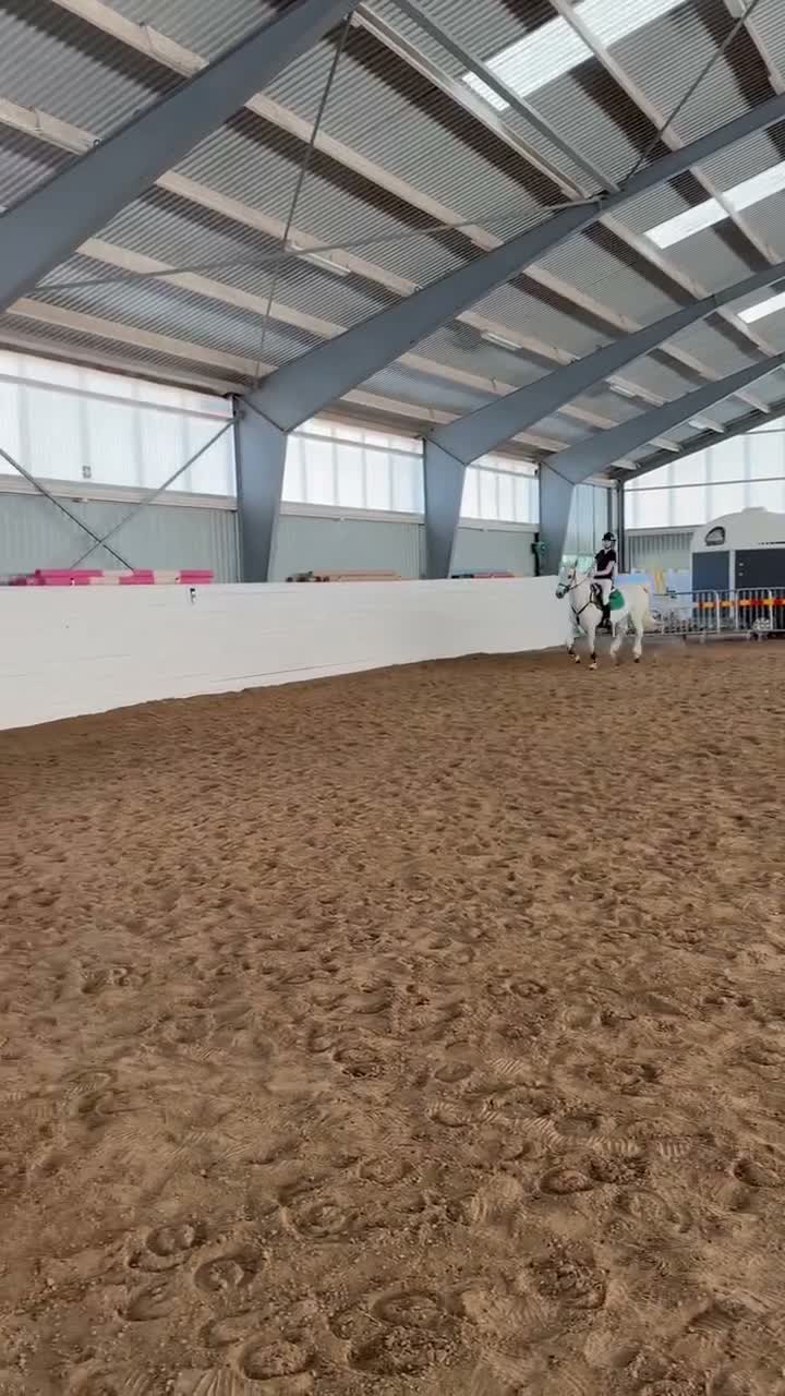 Allround hästar till salu: Superfin D ponny!  - Video 5