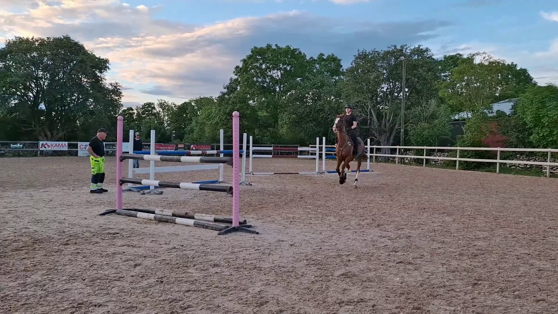 Hoppning hästar till salu: Läromästare i hoppning - Video 3