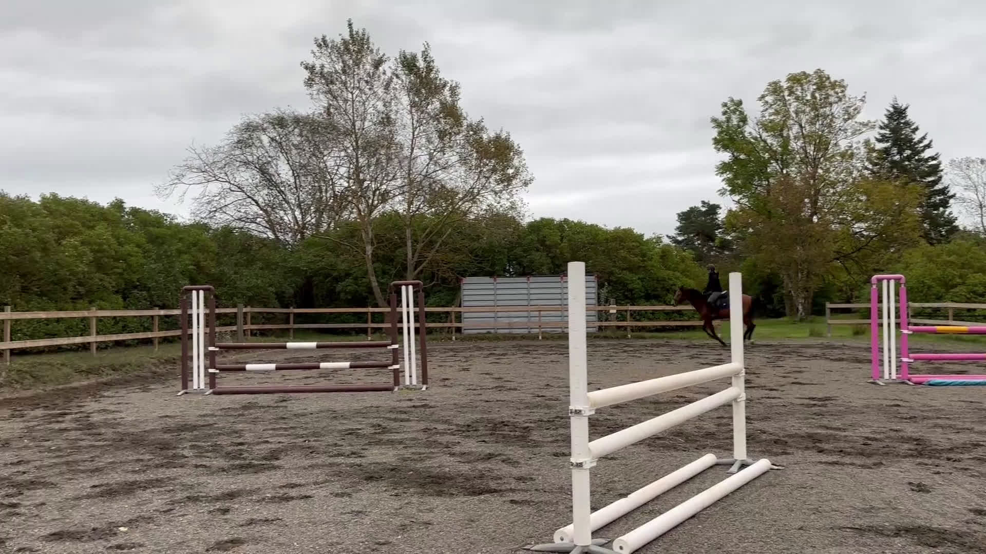 Hoppning hästar till salu: Superfint sto  i Åhus - Video 2