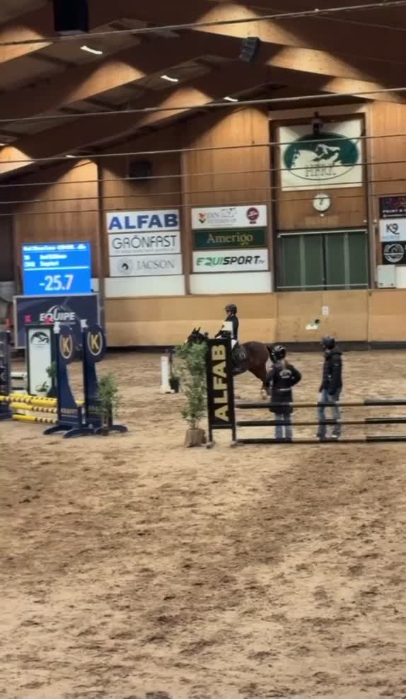 Allround hästar till salu: Läromästaren med hjärta av guld  - Video 1