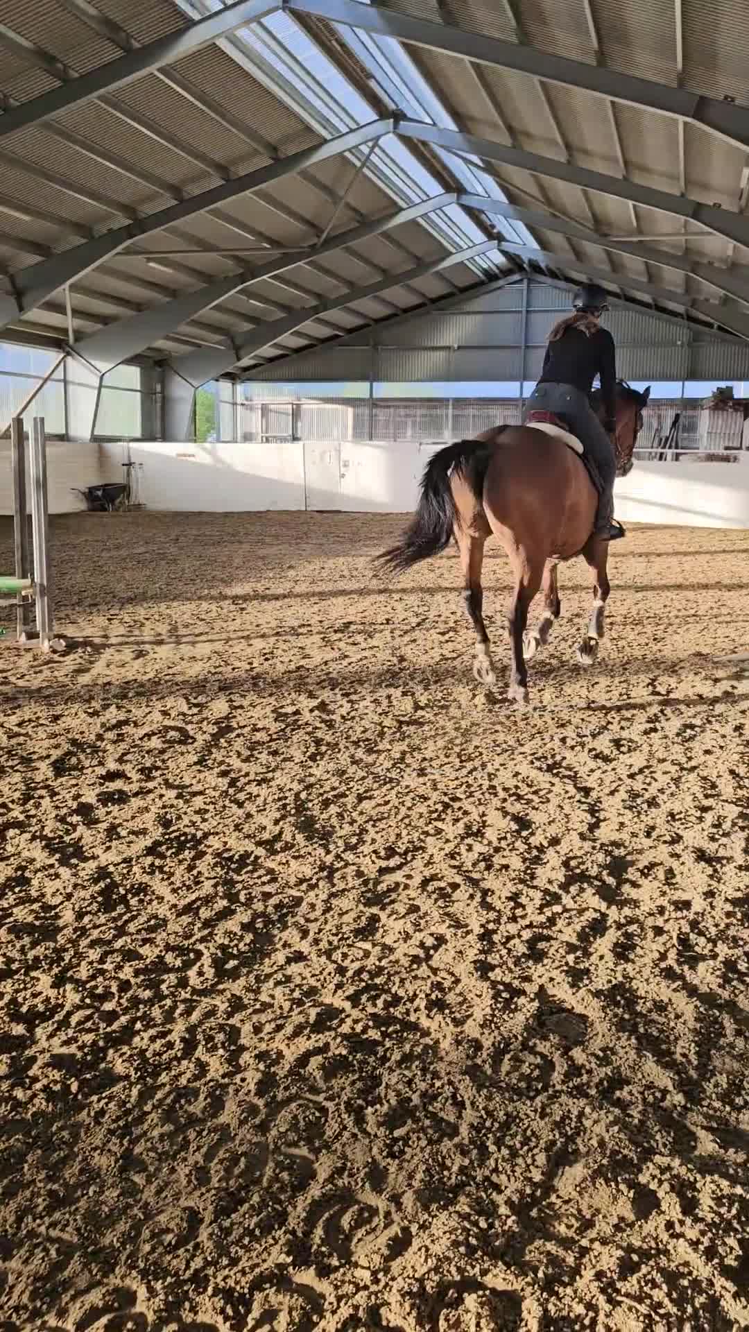 Hoppning hästar till salu: Lovande 4åring  - Video 1