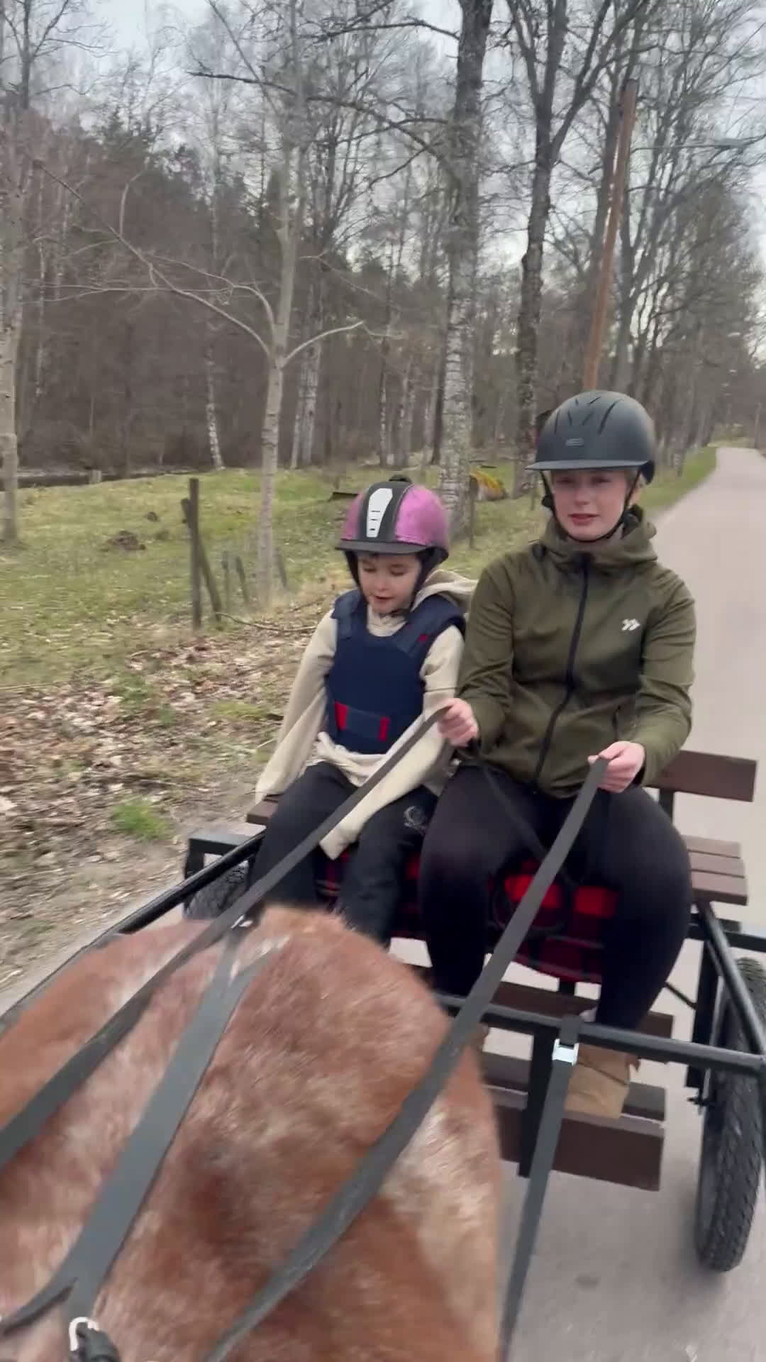 Allround hästar till salu: Älskade ponny  - Video 2