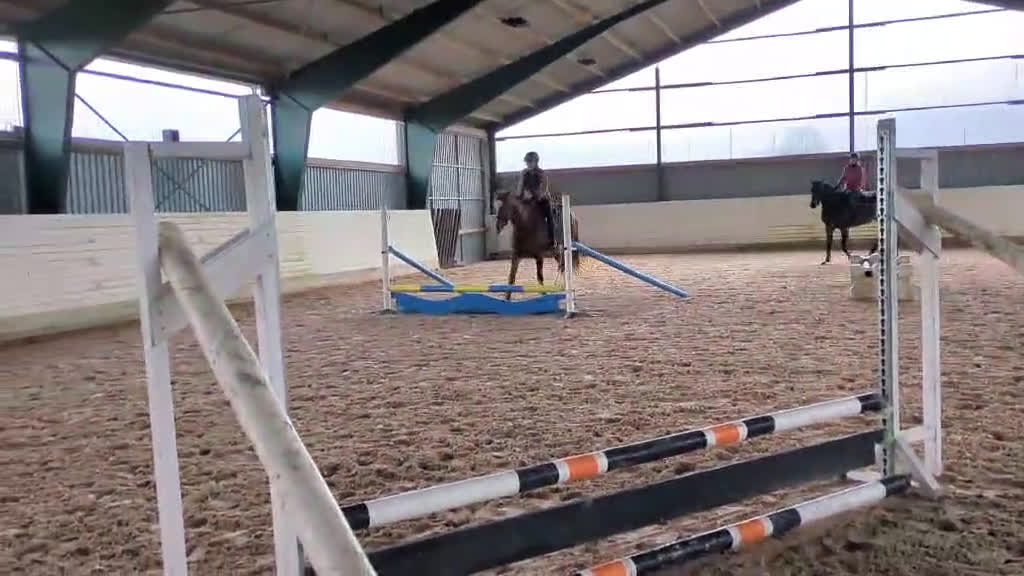 Hoppning hästar till salu: Mycket lovande & fin 5 åring - Video 3