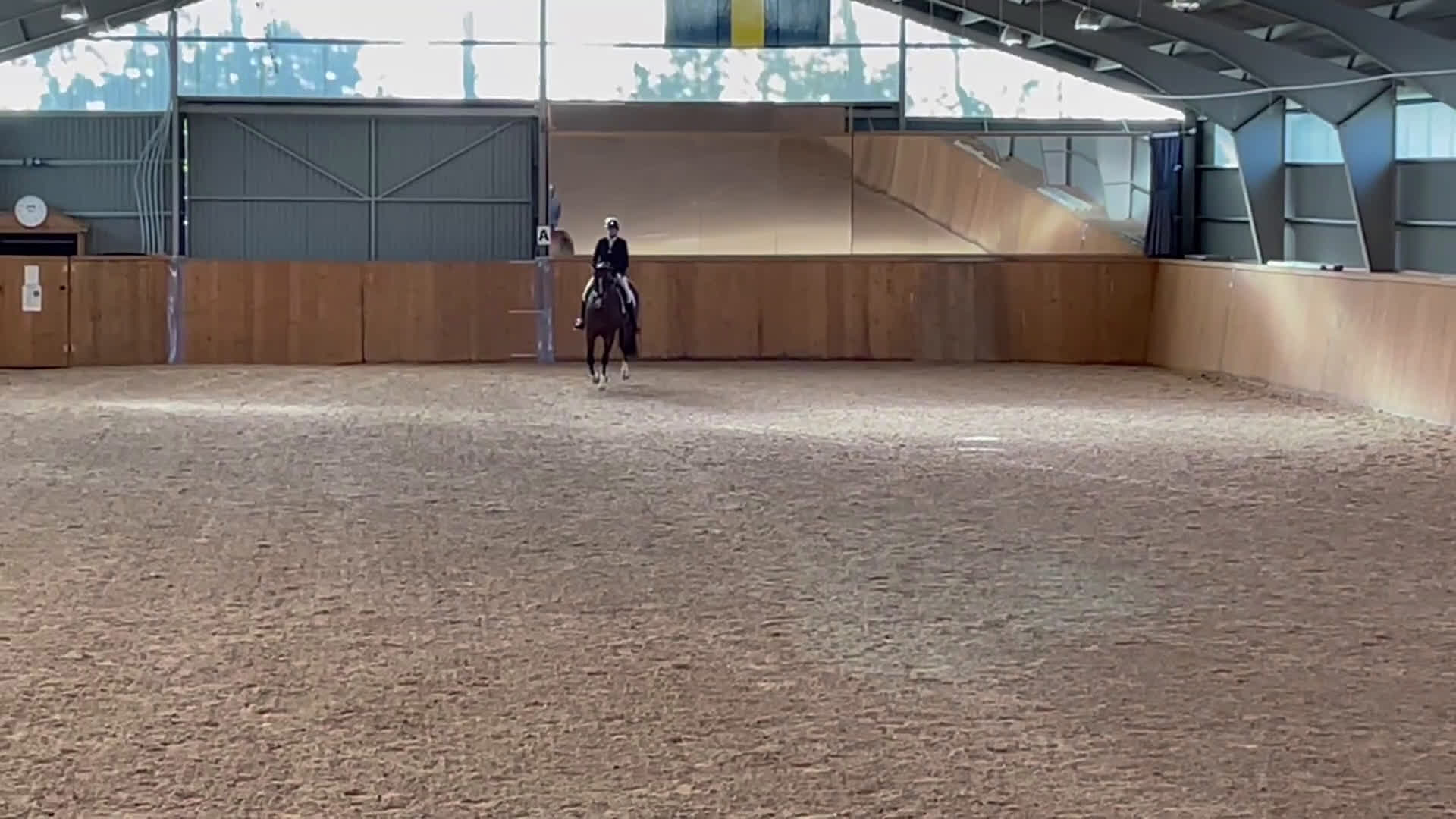 Dressyr hästar till salu: Fantastisk dressyrvalack  i Lärbro - Video 2