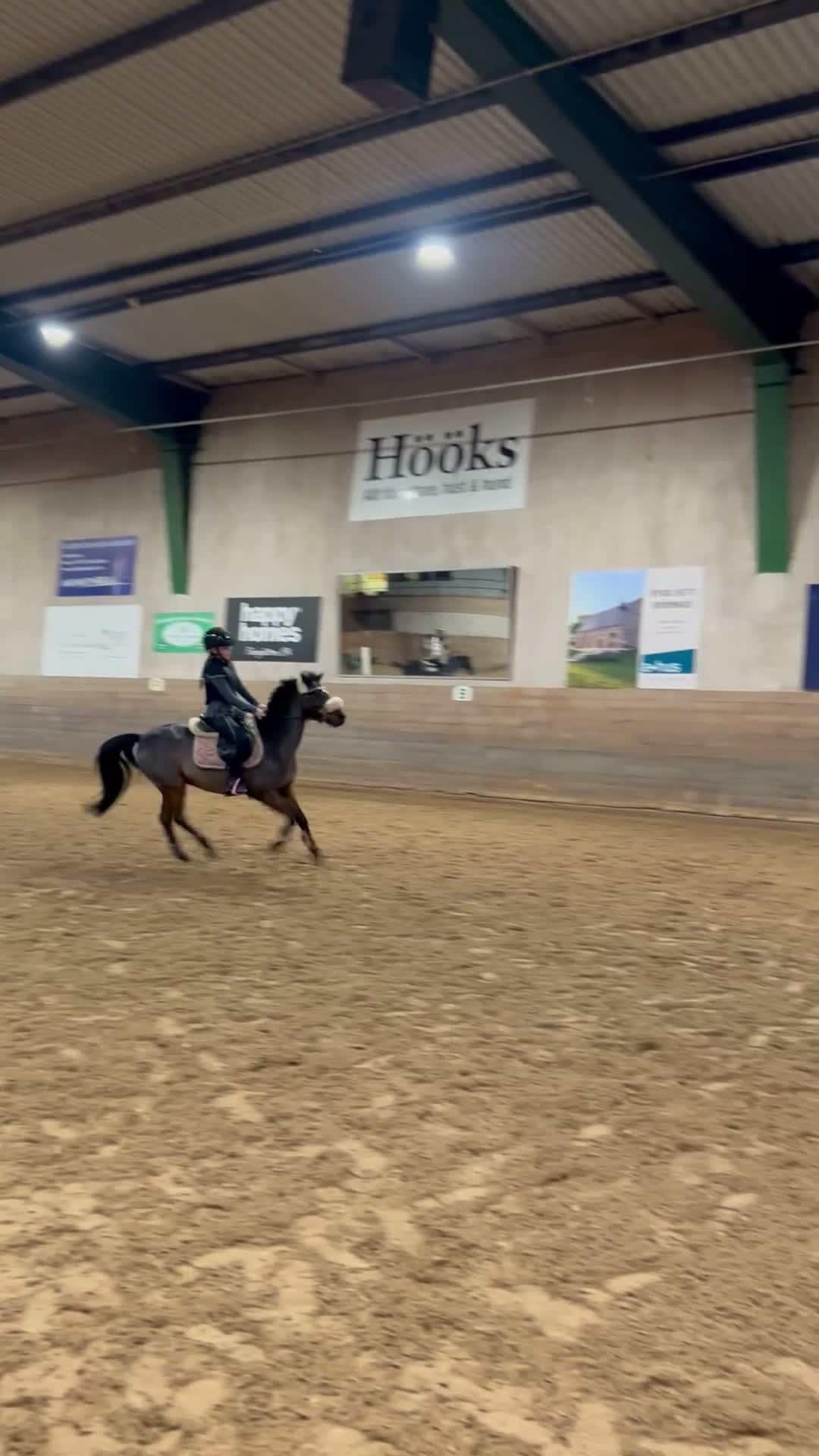 Allround hästar till salu: Supergullig vänlig b ponny i Jönköping - Video 2