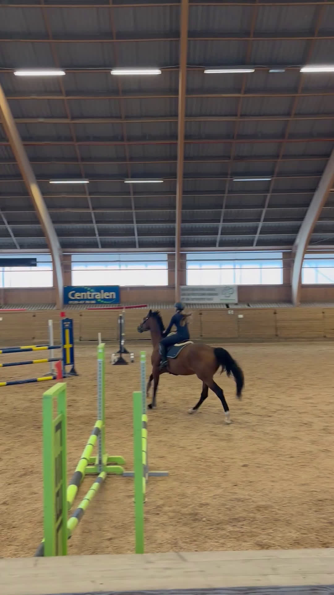 Allround hästar till salu: Kvalitetssto🌟 - Video 3