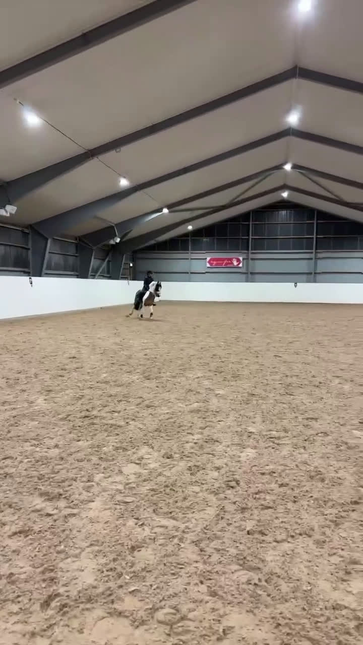 Hoppning hästar till salu: Maxad c-ponny med stor personlighet! - Video 1