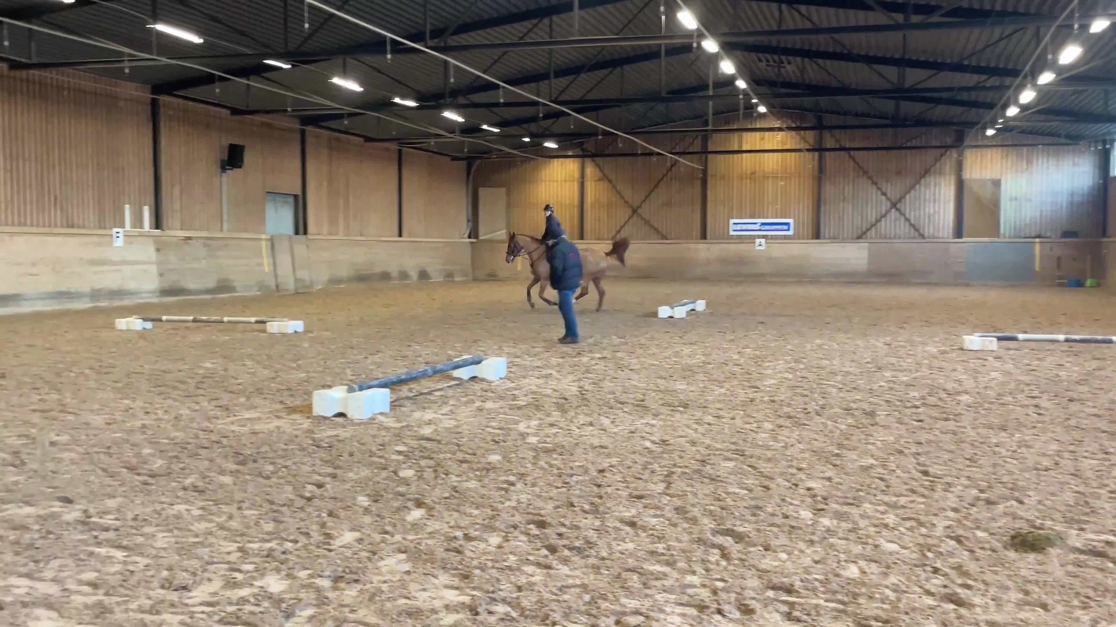 Allround hästar till salu: Trevlig 5åring säljes✨ i Perstorp - Video 1
