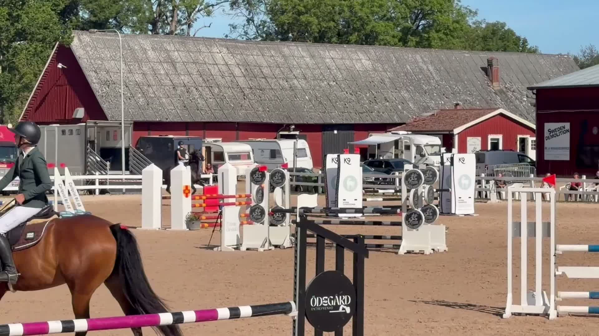 Hoppning hästar till salu: Sto med mykt motor - Video 1