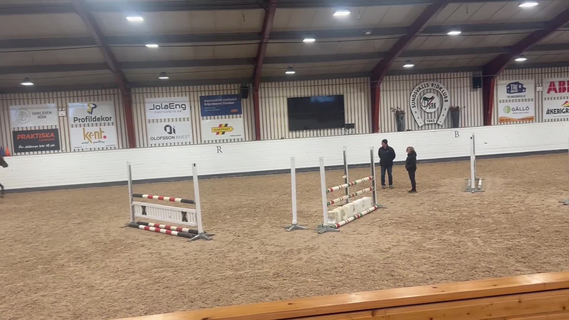 Hoppning hästar till salu: Snäll och trygg swb valack  i Sundsvall - Video 1