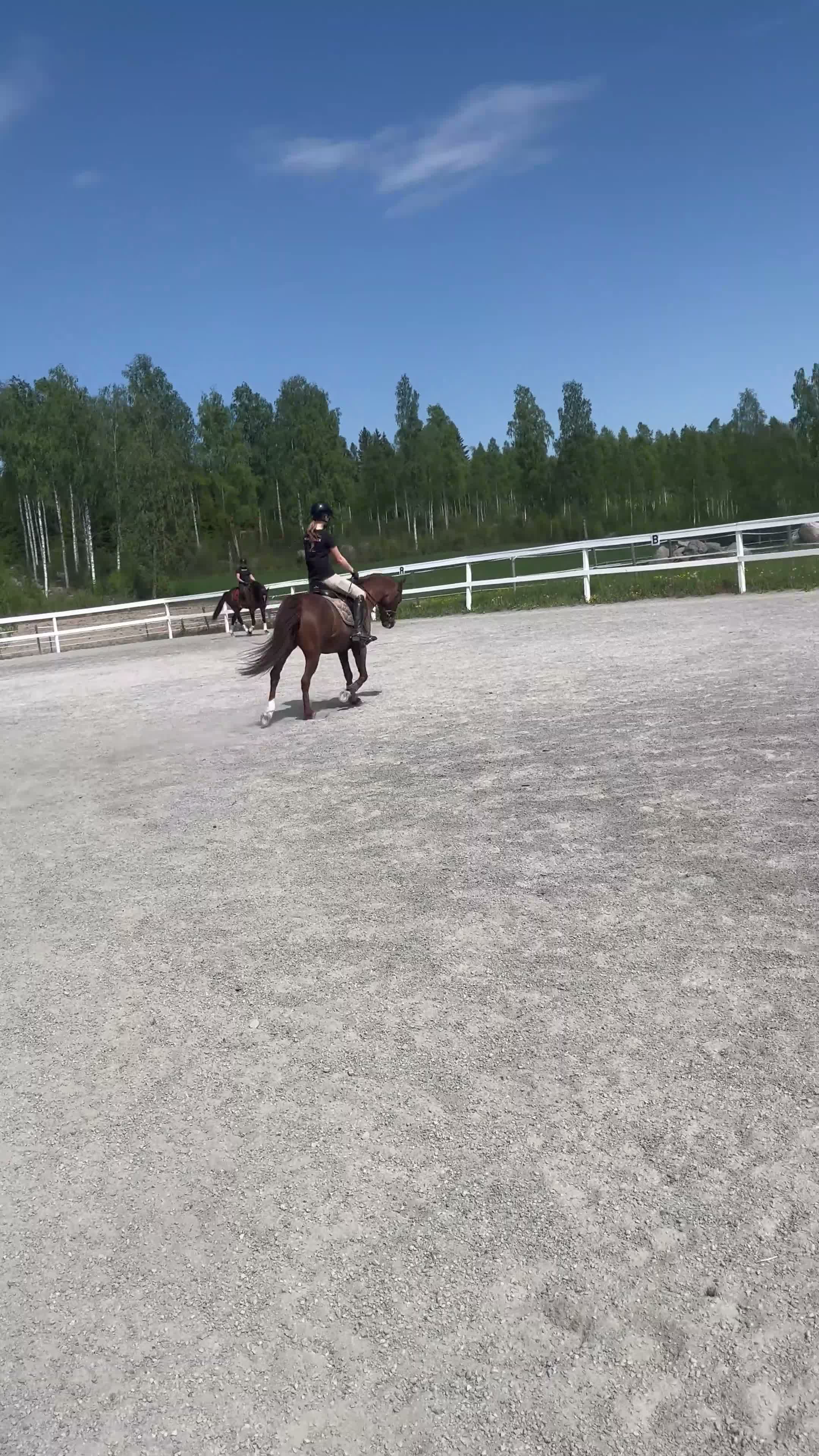Allround hästar till salu: Trevlig c-ponny❤️ i Järvsö - Video 2