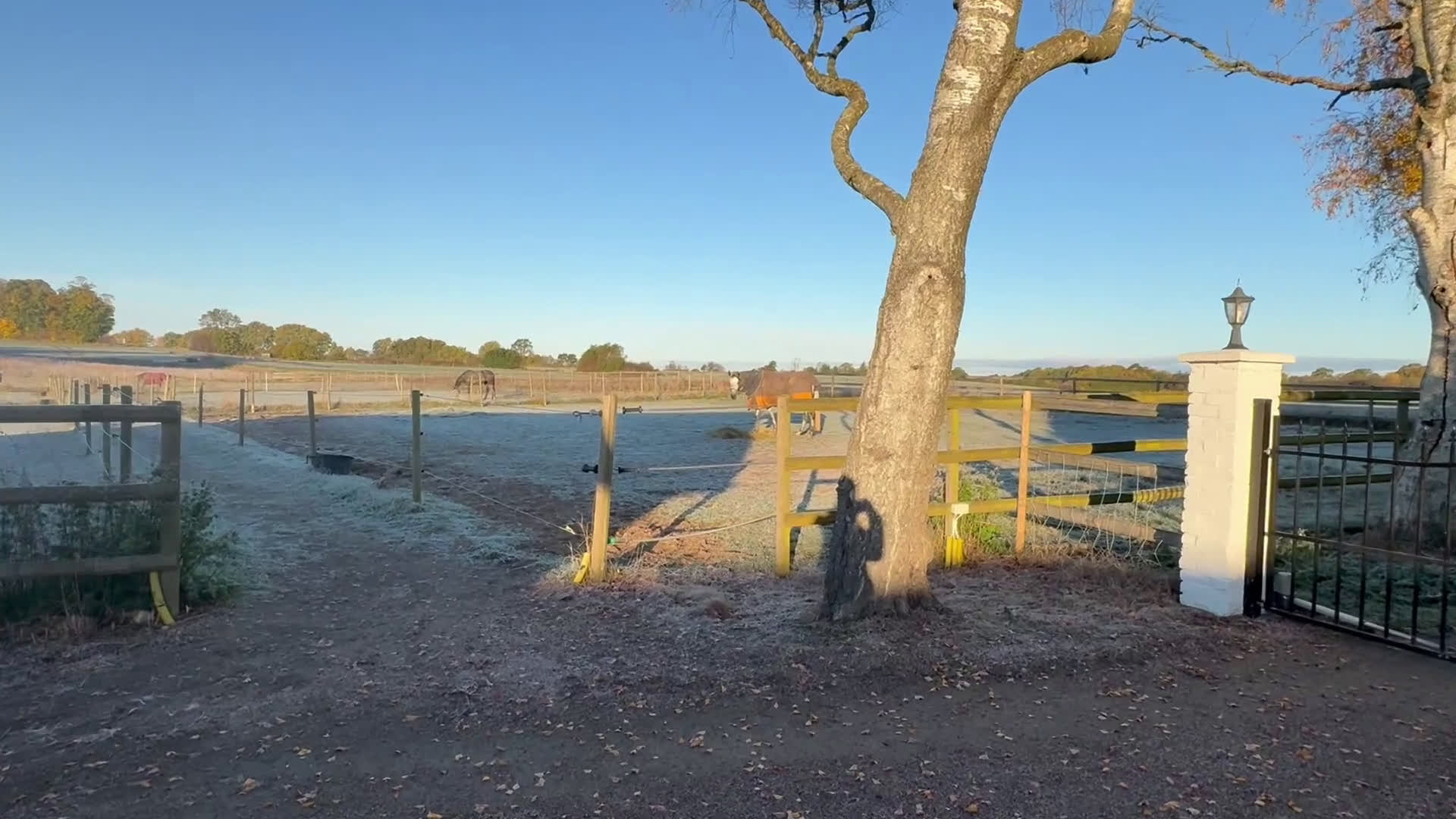  lägenhet till salu: Uthyres! Lägenhet med möjlighet till boxplats  i Vollsjö - Video 1