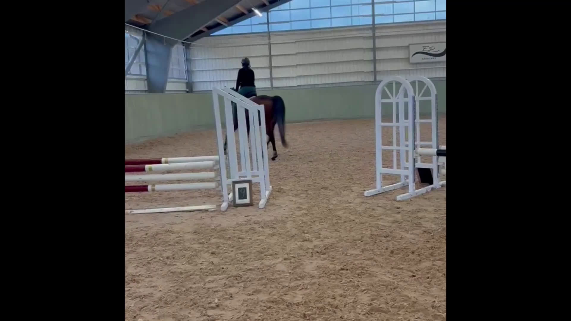 Allround hästar till salu: Fin häst att ha kul tillsammans med  - Video 2