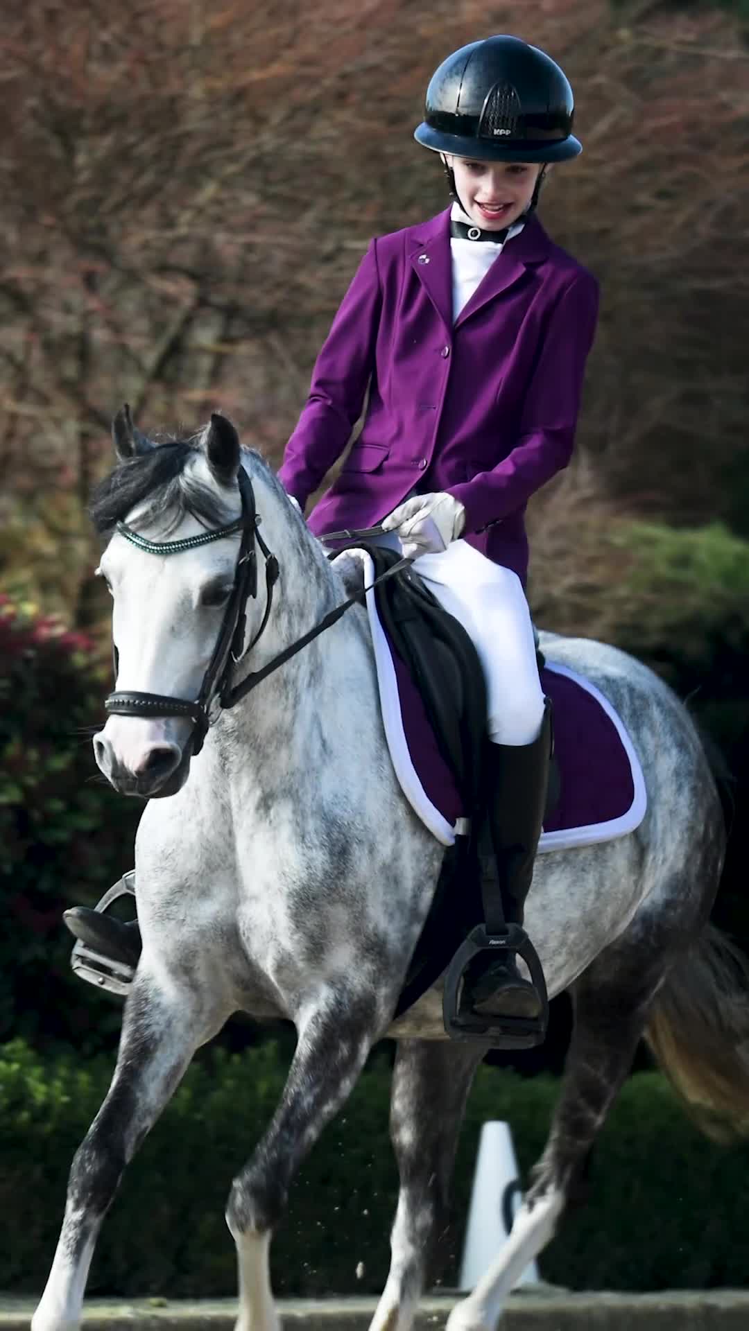 Allround hästar till salu: Fantastisk maxad B-ponny talang för alla grenar - Video 1