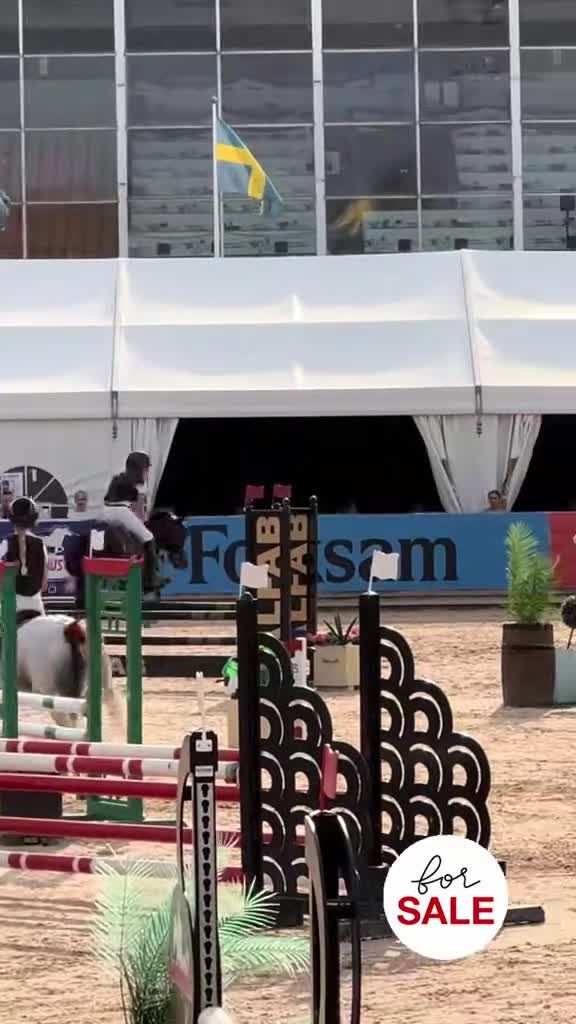 Hoppning hästar till salu: Brons lätt A sm 2026🥉 - Video 1
