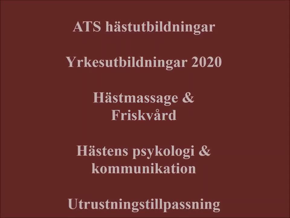 hästservice finnes: Diplomerad hästmassör/Friskvårdskonsulent - Video 1