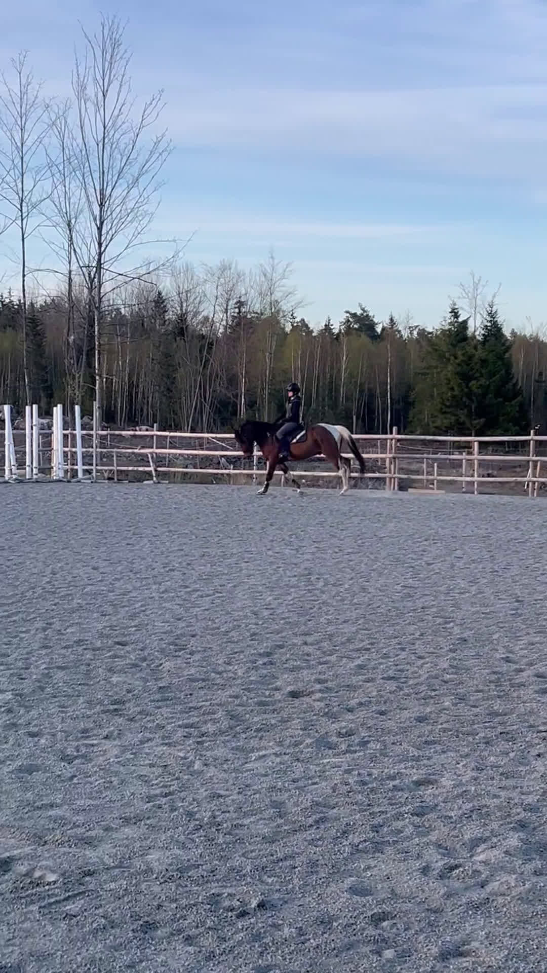 Hoppning hästar till salu: 🌟Framtidsponny för satsande ryttare!🌟 - Video 1