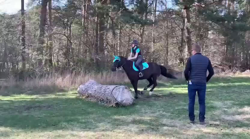 Hoppning hästar till salu: Ponny med härlig personlighet söker ny bästa vän i Malmö - Video 5