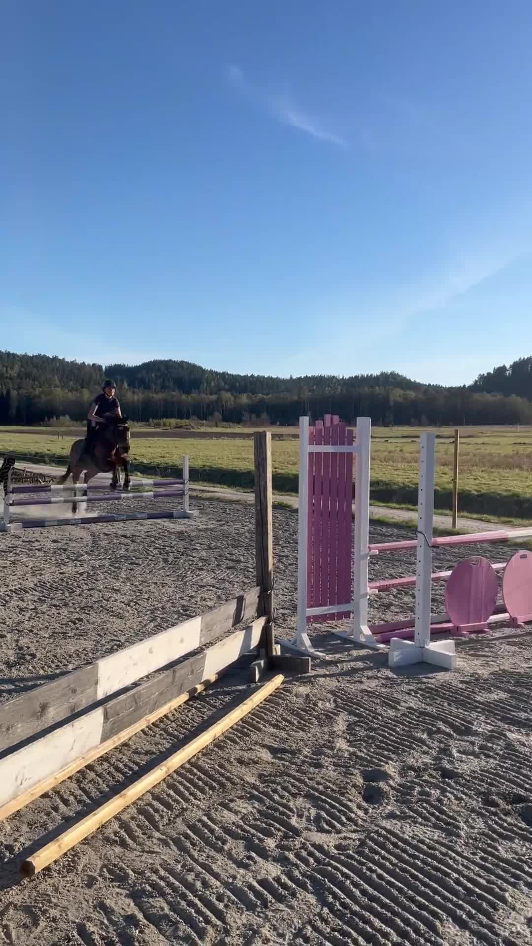 Allround hästar till salu: Ponny med stort hjärta söker fem ⭐️ hem i Spekeröd - Video 4