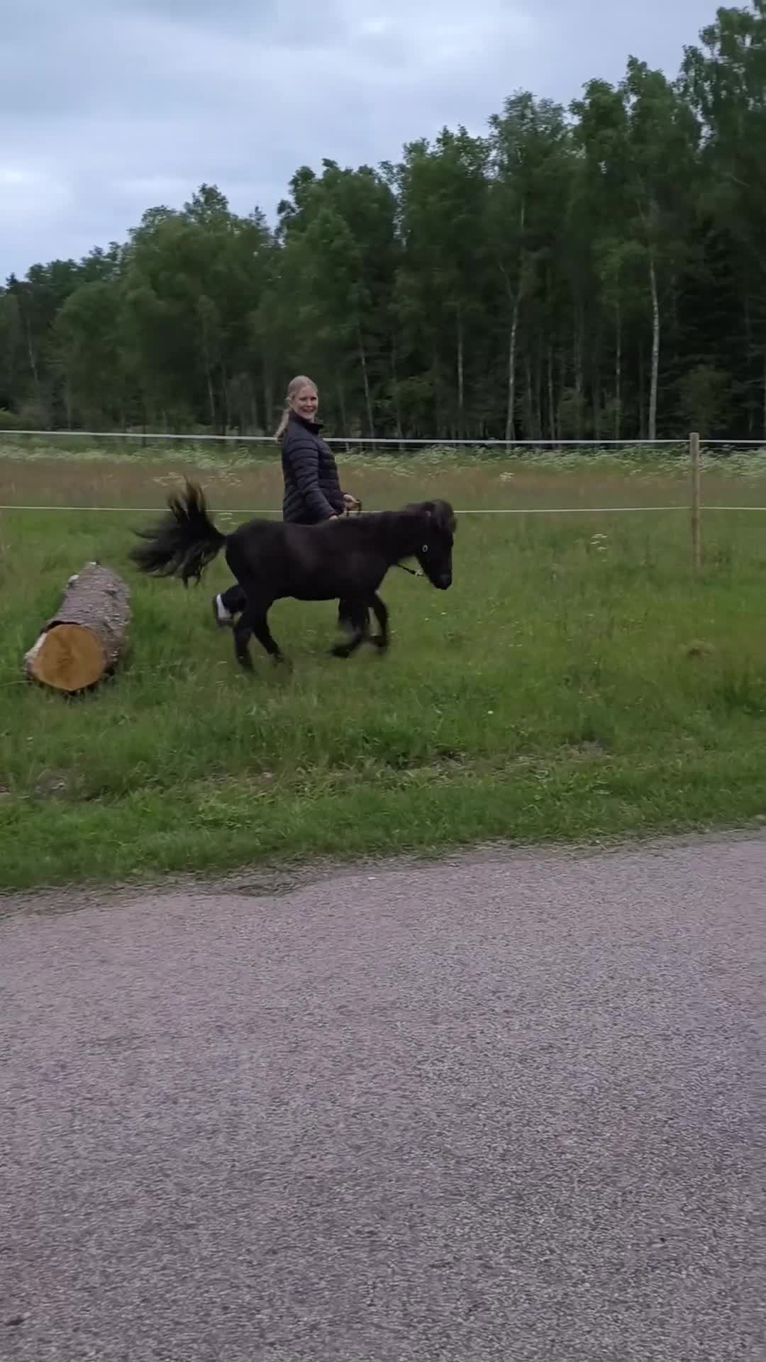 Allround hästar till salu: Luckie söker hem.. - Video 1