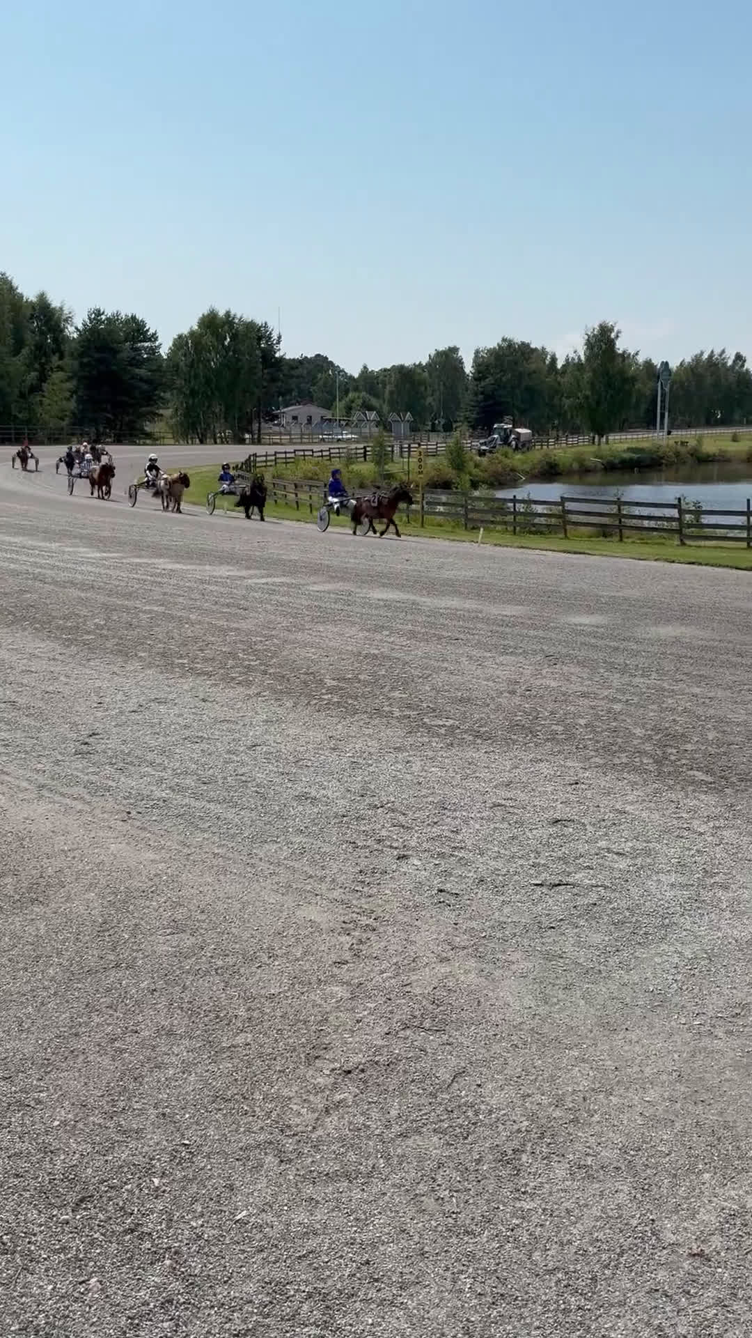 Trav hästar till salu: Travponny med stora utvecklingsmöjligheter  i Asarum - Video 2