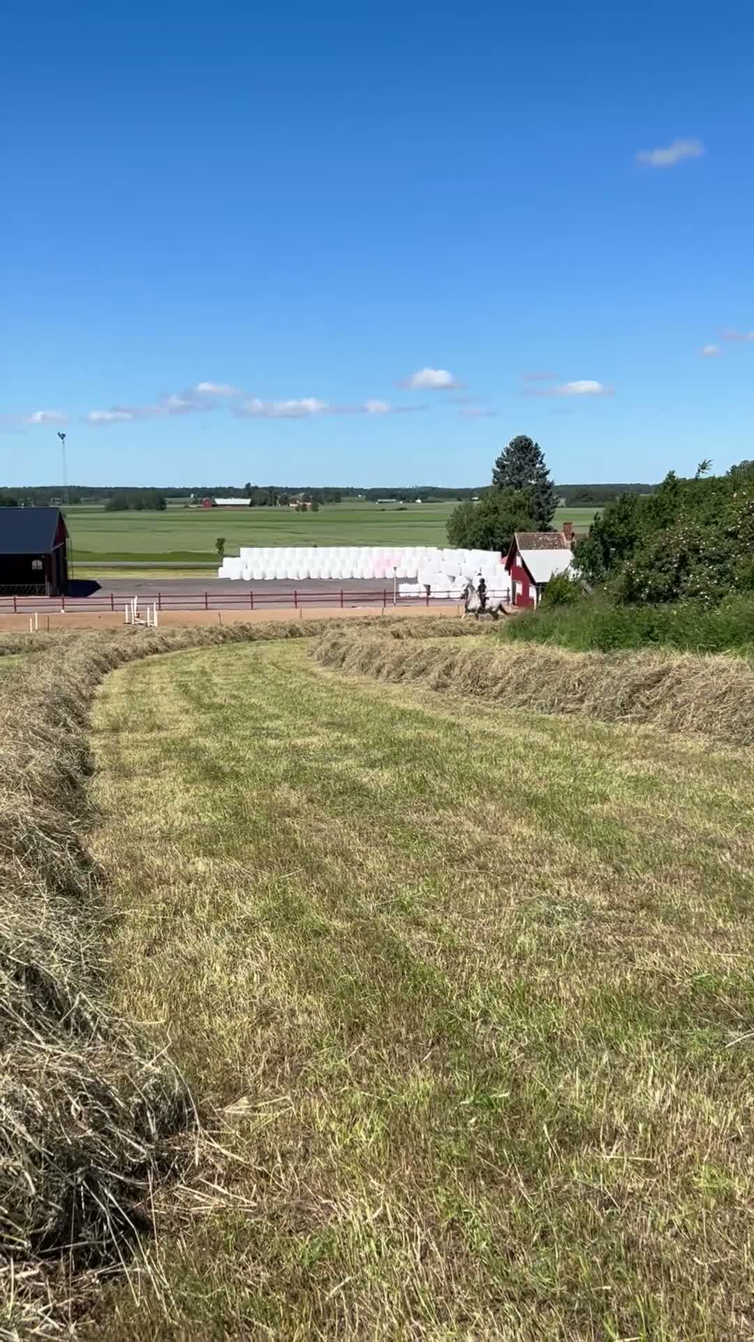 Allround hästar till salu: Spansk gentleman - Video 3