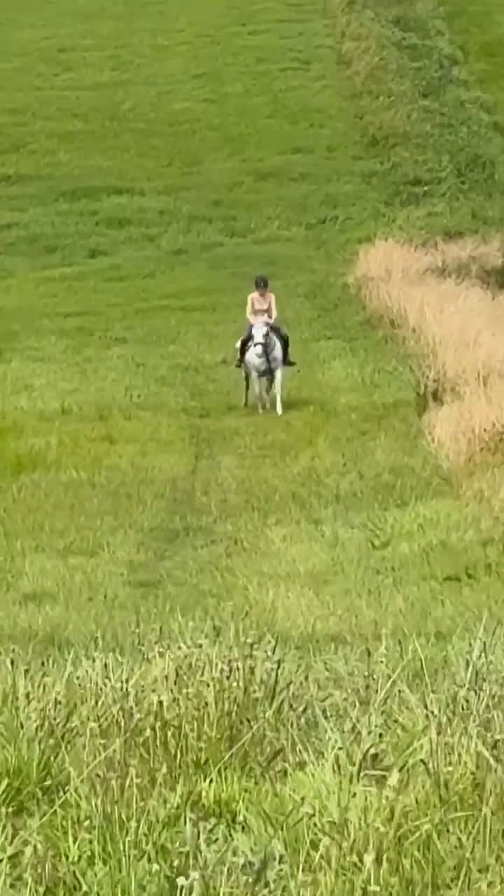 Allround hästar till salu: Bästa julklappen! i Gullabo - Video 2