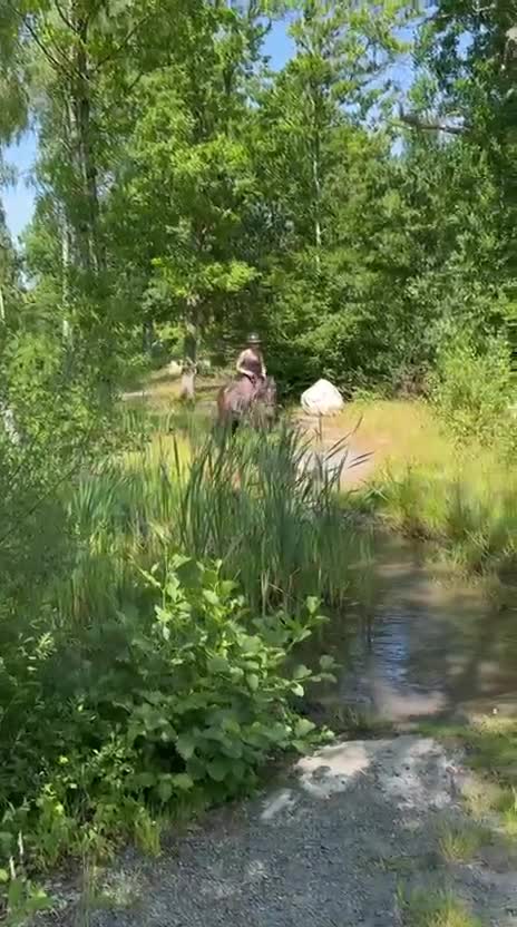 Allround hästar till salu: Förstaponny/ verksamhet/ Bästa kompis  - Video 2