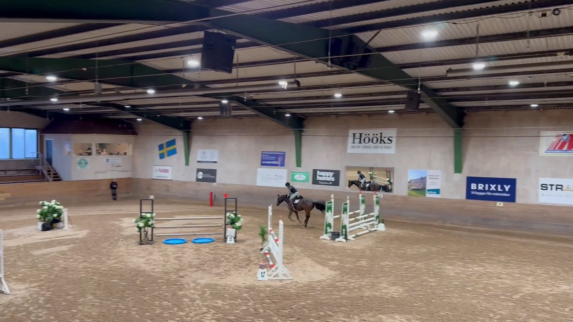 Hoppning hästar till salu: Häftig Multitalang säljes!  i Värnamo - Video 2