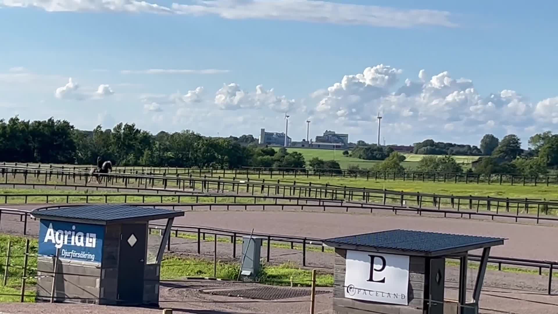 Island hästar till salu: Femgångshäst  i Båstad - Video 1